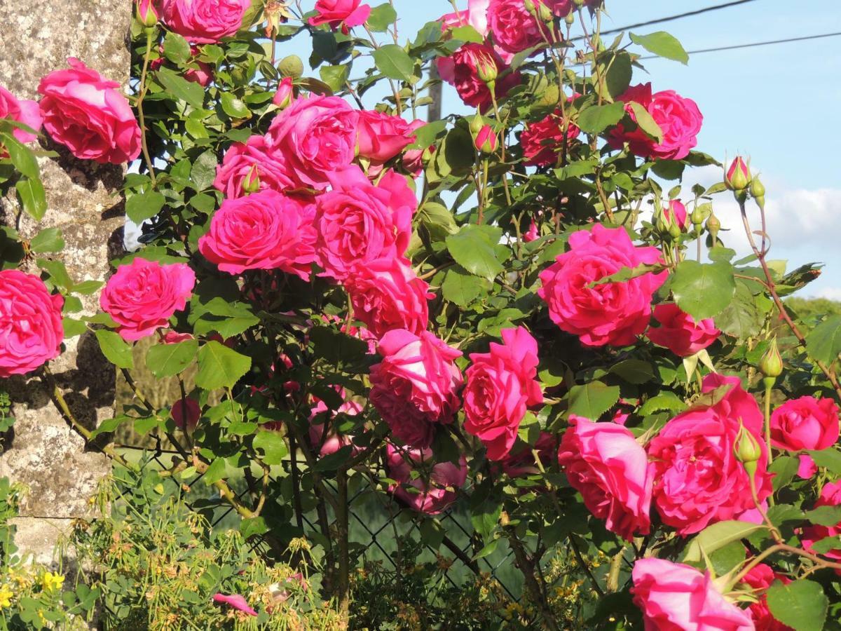 Le Chemin Bed & Breakfast Challignac Bagian luar foto